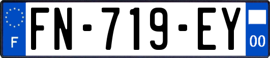 FN-719-EY