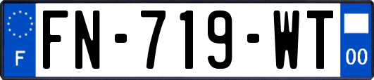 FN-719-WT