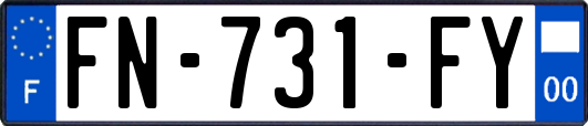 FN-731-FY