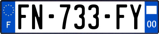 FN-733-FY