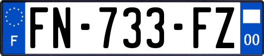 FN-733-FZ