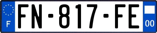 FN-817-FE