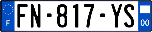 FN-817-YS