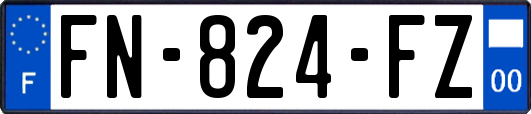 FN-824-FZ