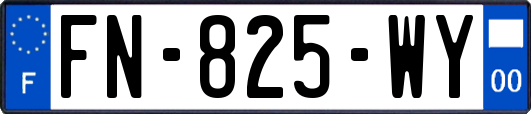 FN-825-WY
