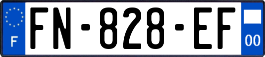 FN-828-EF
