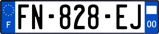 FN-828-EJ