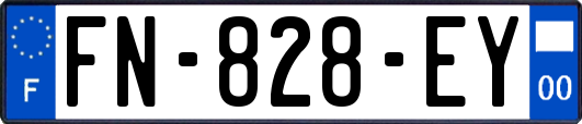 FN-828-EY