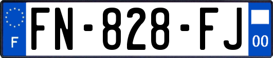 FN-828-FJ