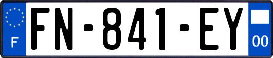 FN-841-EY