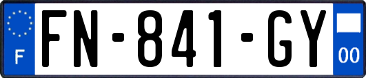 FN-841-GY