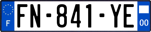 FN-841-YE