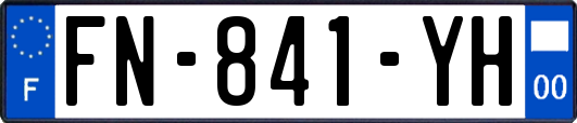 FN-841-YH
