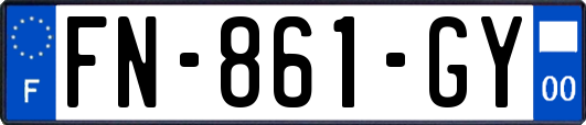 FN-861-GY