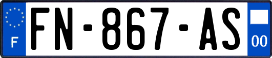 FN-867-AS