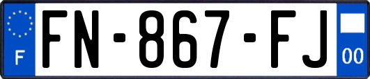 FN-867-FJ