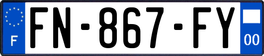 FN-867-FY