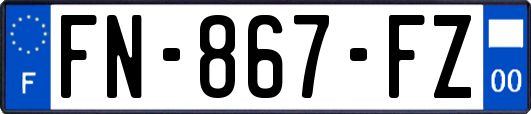 FN-867-FZ