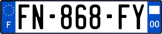 FN-868-FY