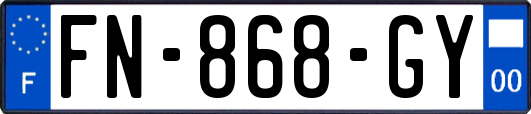 FN-868-GY