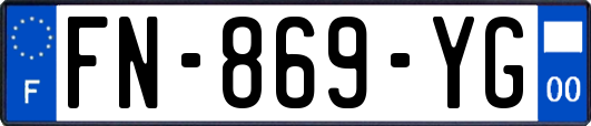 FN-869-YG