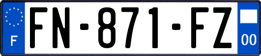 FN-871-FZ