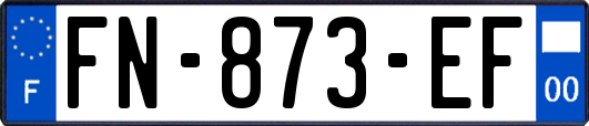 FN-873-EF