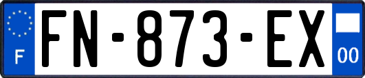 FN-873-EX
