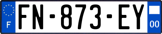 FN-873-EY