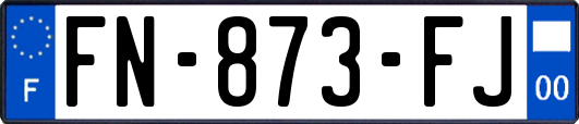 FN-873-FJ