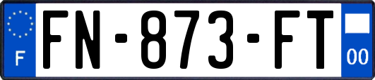 FN-873-FT