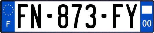 FN-873-FY