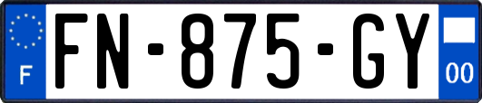 FN-875-GY