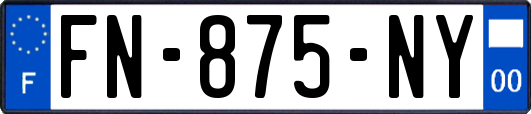 FN-875-NY