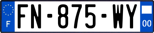 FN-875-WY