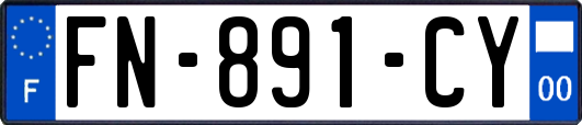 FN-891-CY
