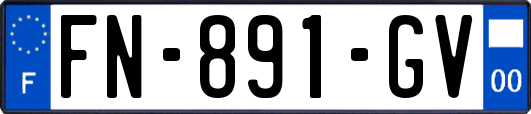 FN-891-GV
