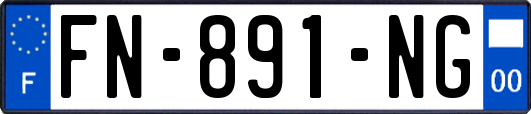 FN-891-NG