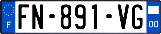 FN-891-VG