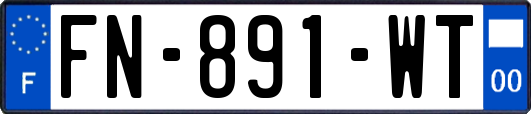 FN-891-WT
