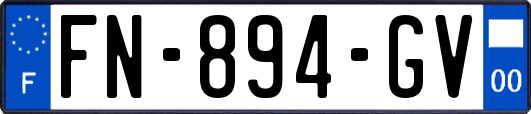 FN-894-GV
