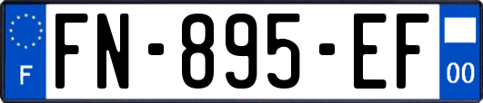 FN-895-EF