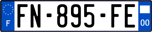 FN-895-FE