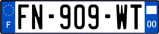FN-909-WT
