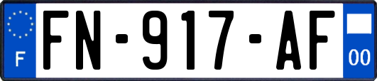FN-917-AF