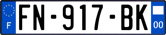 FN-917-BK