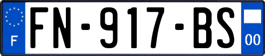 FN-917-BS