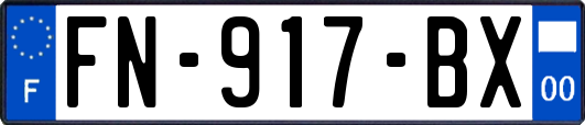 FN-917-BX