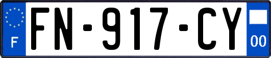 FN-917-CY