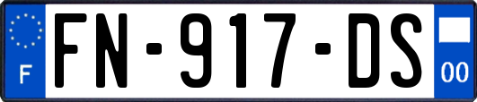 FN-917-DS
